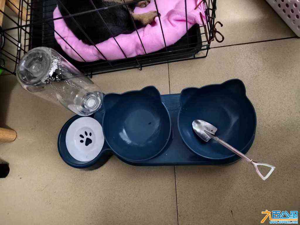 wechat_upload170454952265995c92dbf90