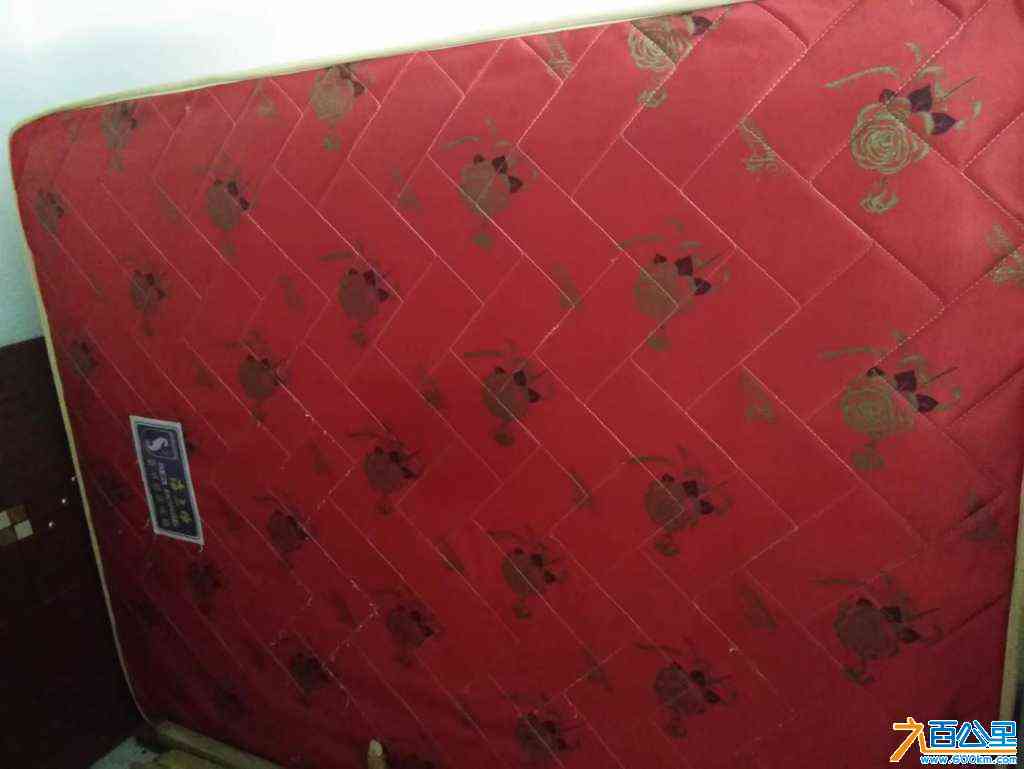 wechat_upload1704617669659a66c51ae8c