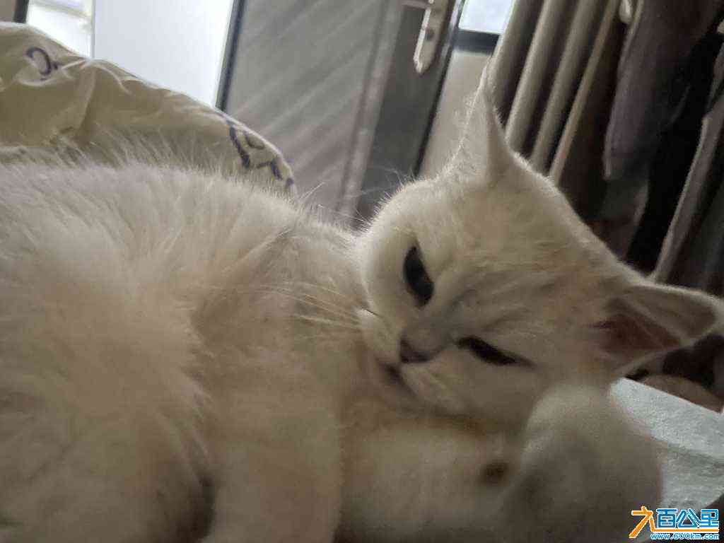 wechat_upload171050911165f44c37133d5