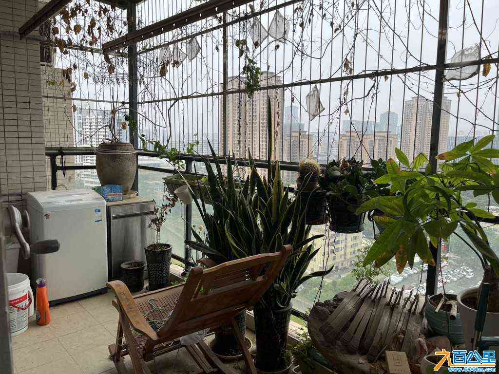 wechat_upload171279972366173febd9162