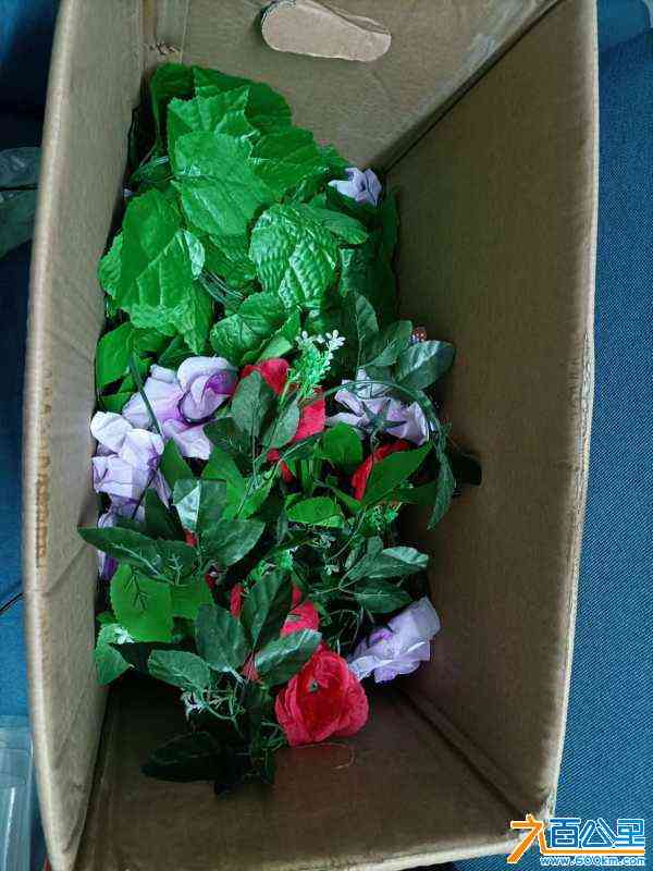 wechat_upload171583073966457fd3b6567