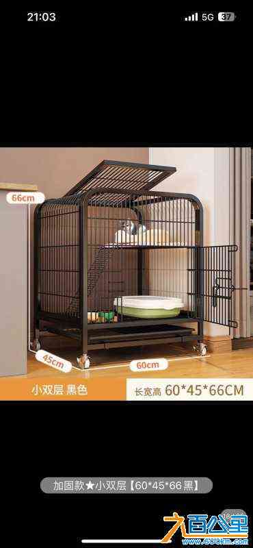 wechat_upload1717766141666307fdccf1d