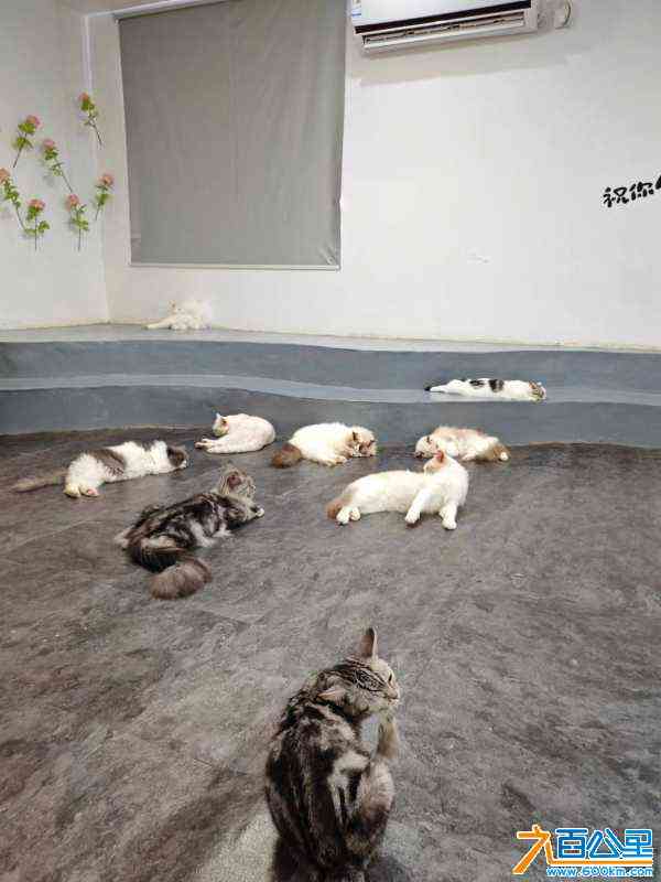 wechat_upload17209645046693d5980be69
