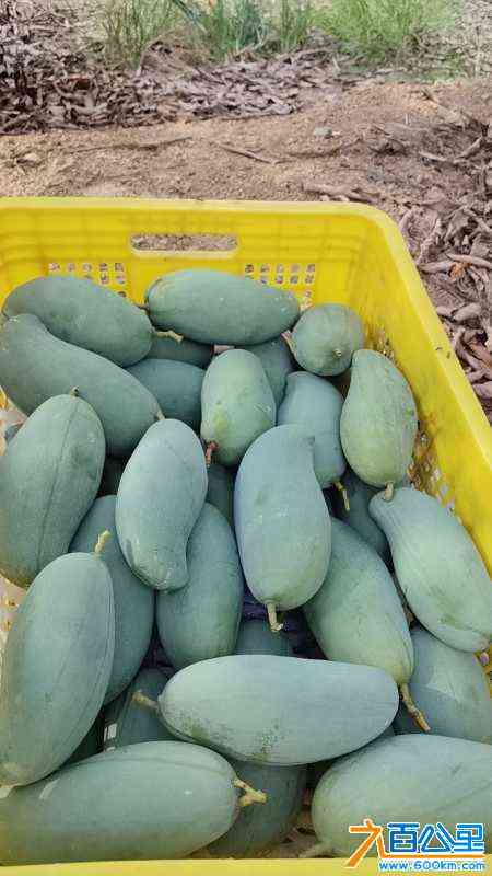 wechat_upload1721387451669a49bbd4430