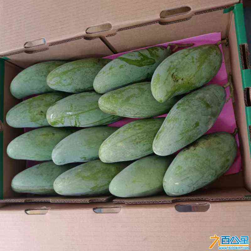 wechat_upload1721387453669a49bd6cd47