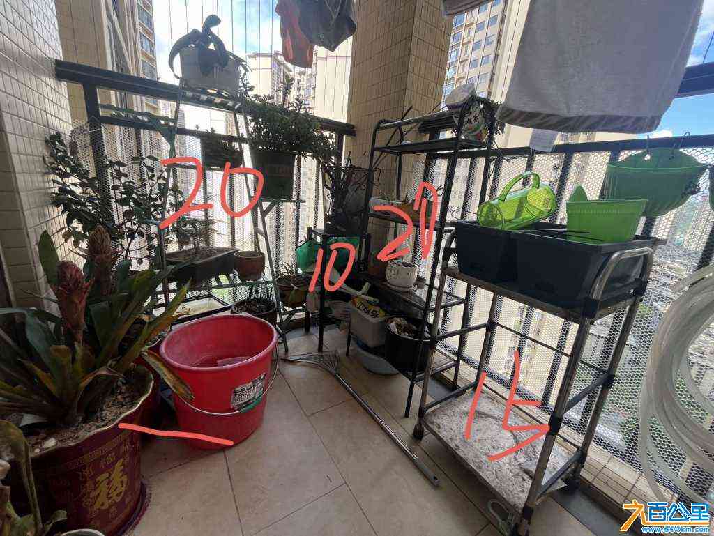 wechat_upload1721464626669b77327d080