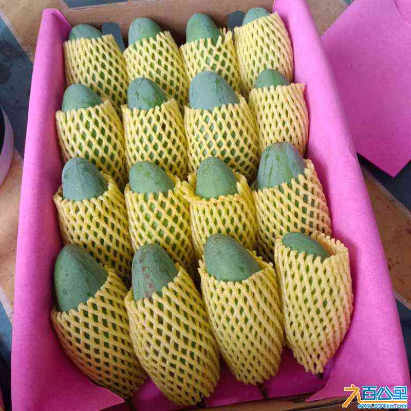 wechat_upload1721566600669d058812e0e