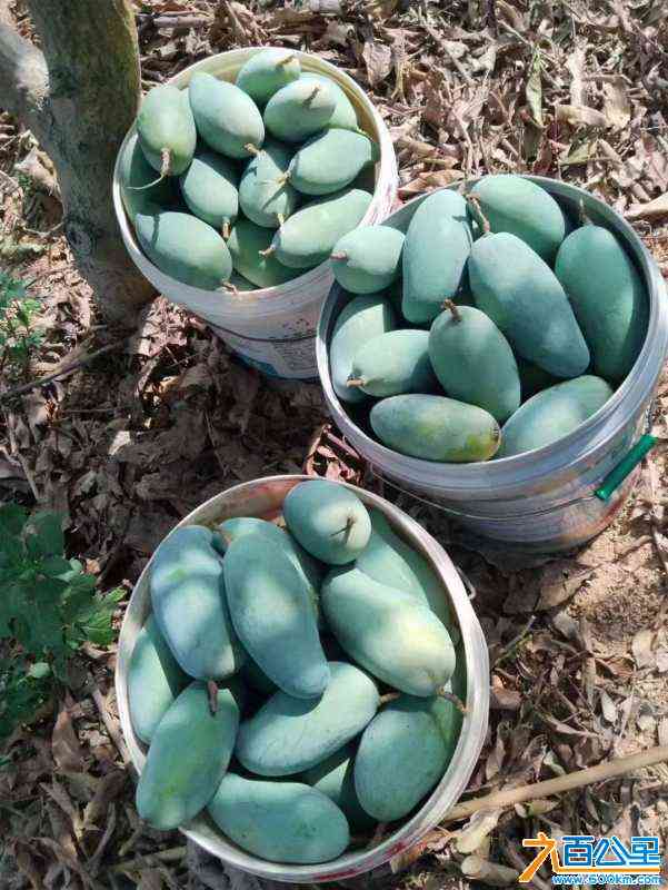 wechat_upload172189224266a1fd924b8dc