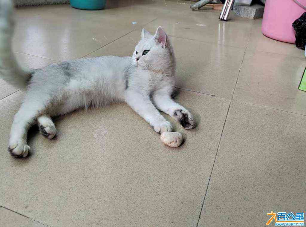 wechat_upload172286830566b0e2516e2c9