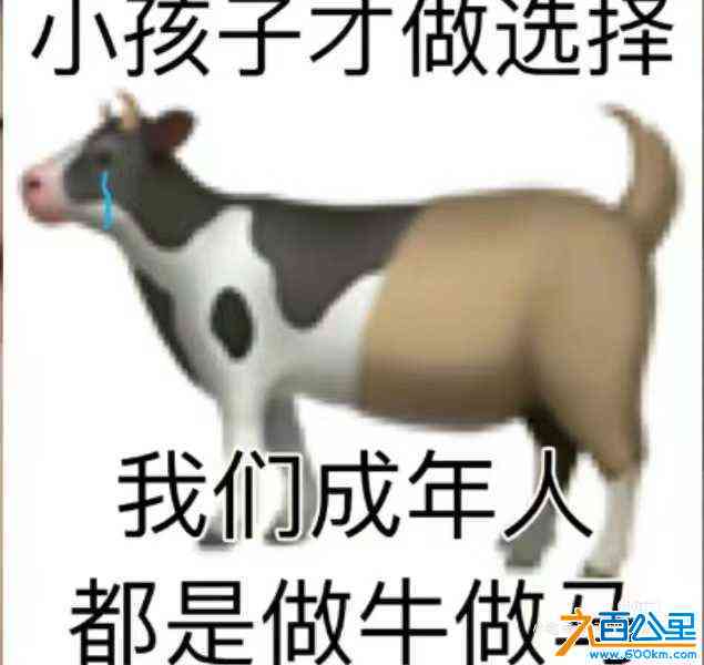 wechat_upload172313097366b4e45d14bc8