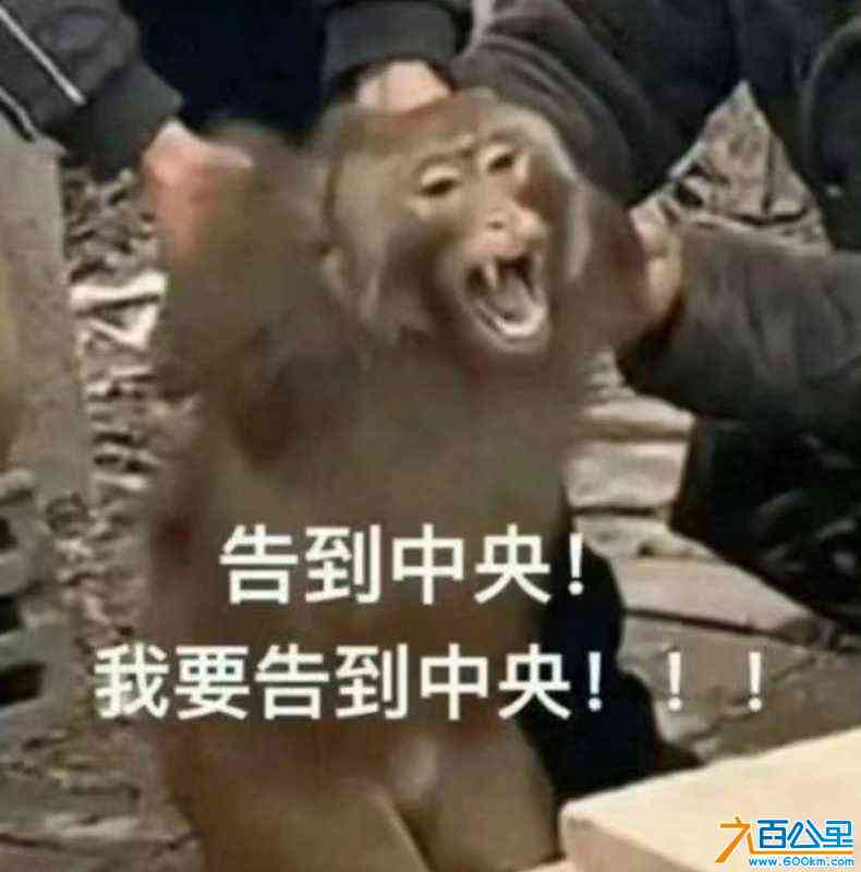 wechat_upload172468600966cc9eb96a8b3