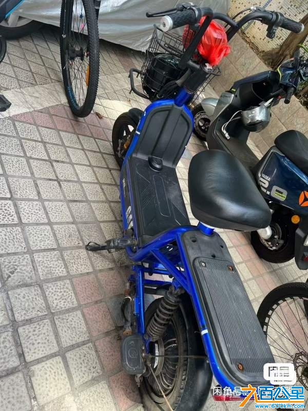 wechat_upload173181286267395dfe25584