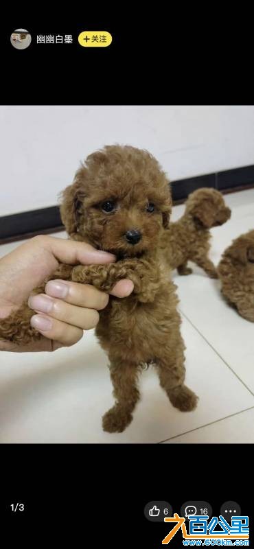 wechat_upload17548229706898793a18044