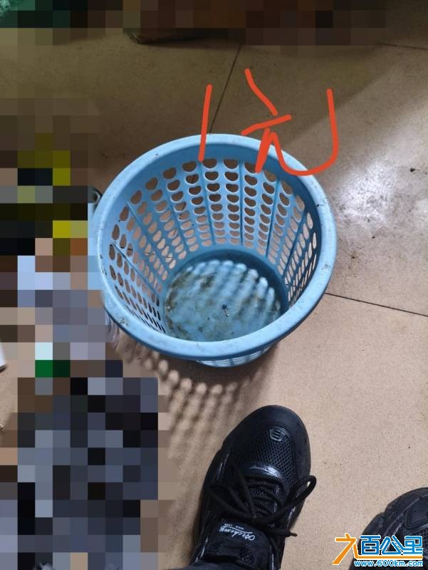 wechat_upload17693212566975b32850c53